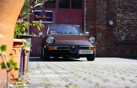1300 1600 spider junior 1970 82